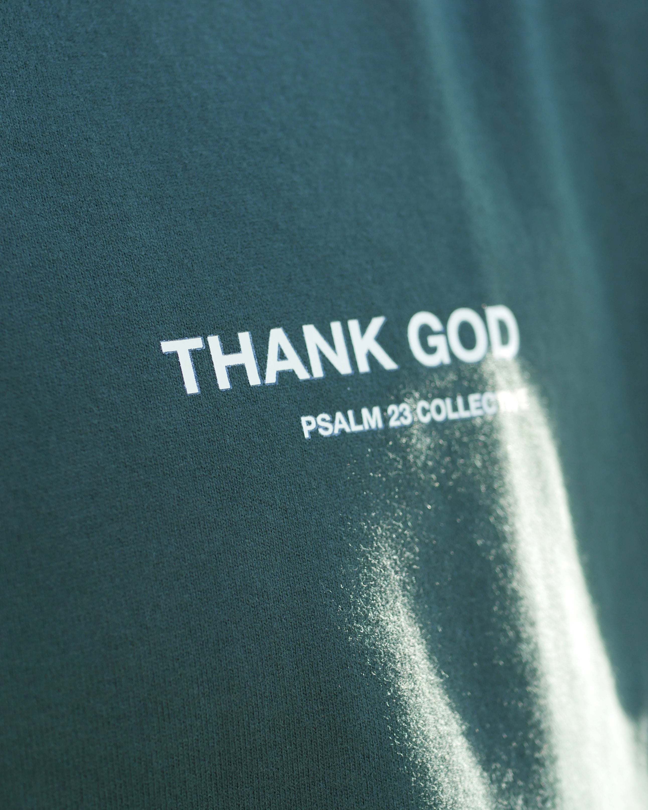 Psalm 23 Divine Terrain Oversized Sanded Tee
