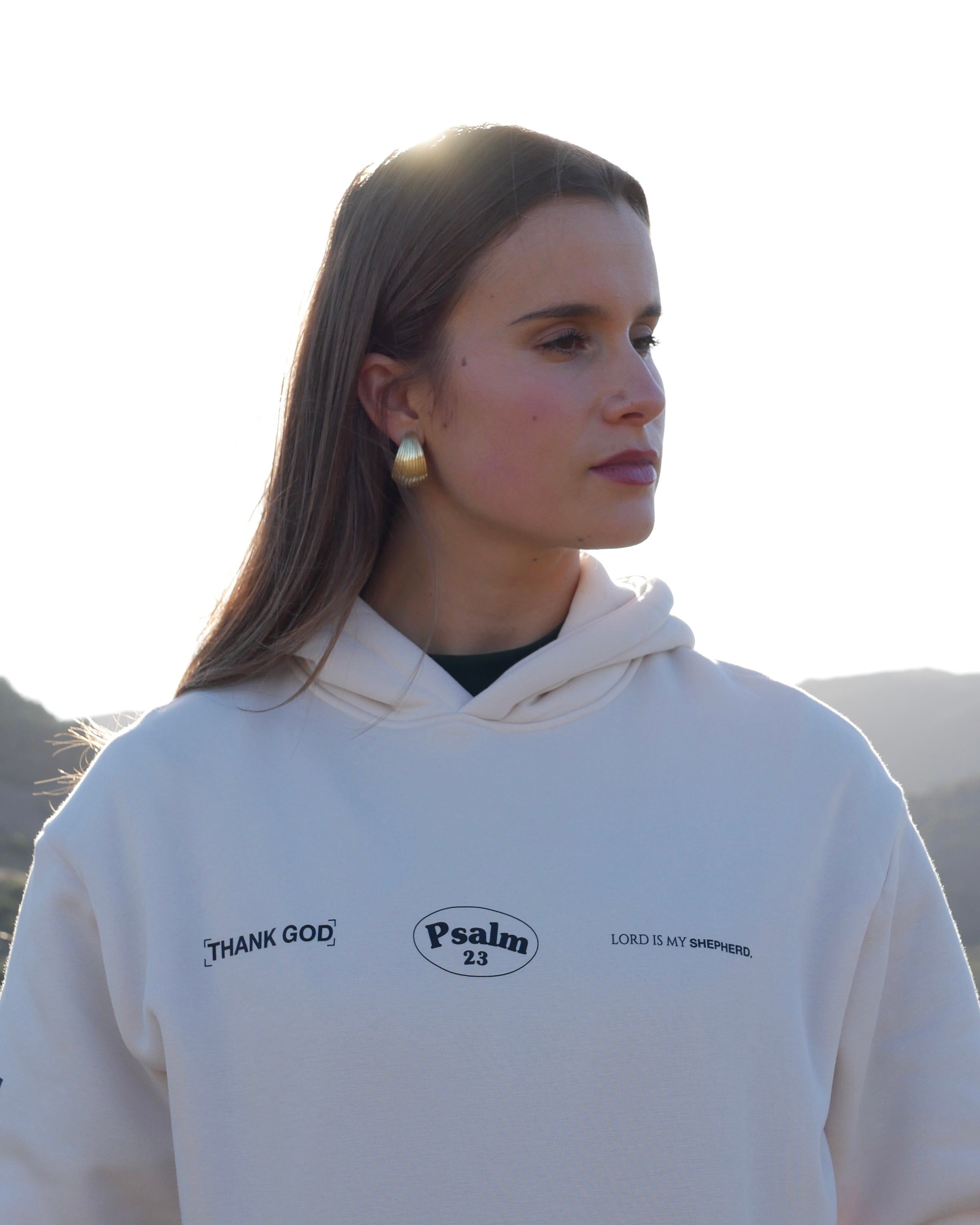 Psalm 23 Restore Hoodie