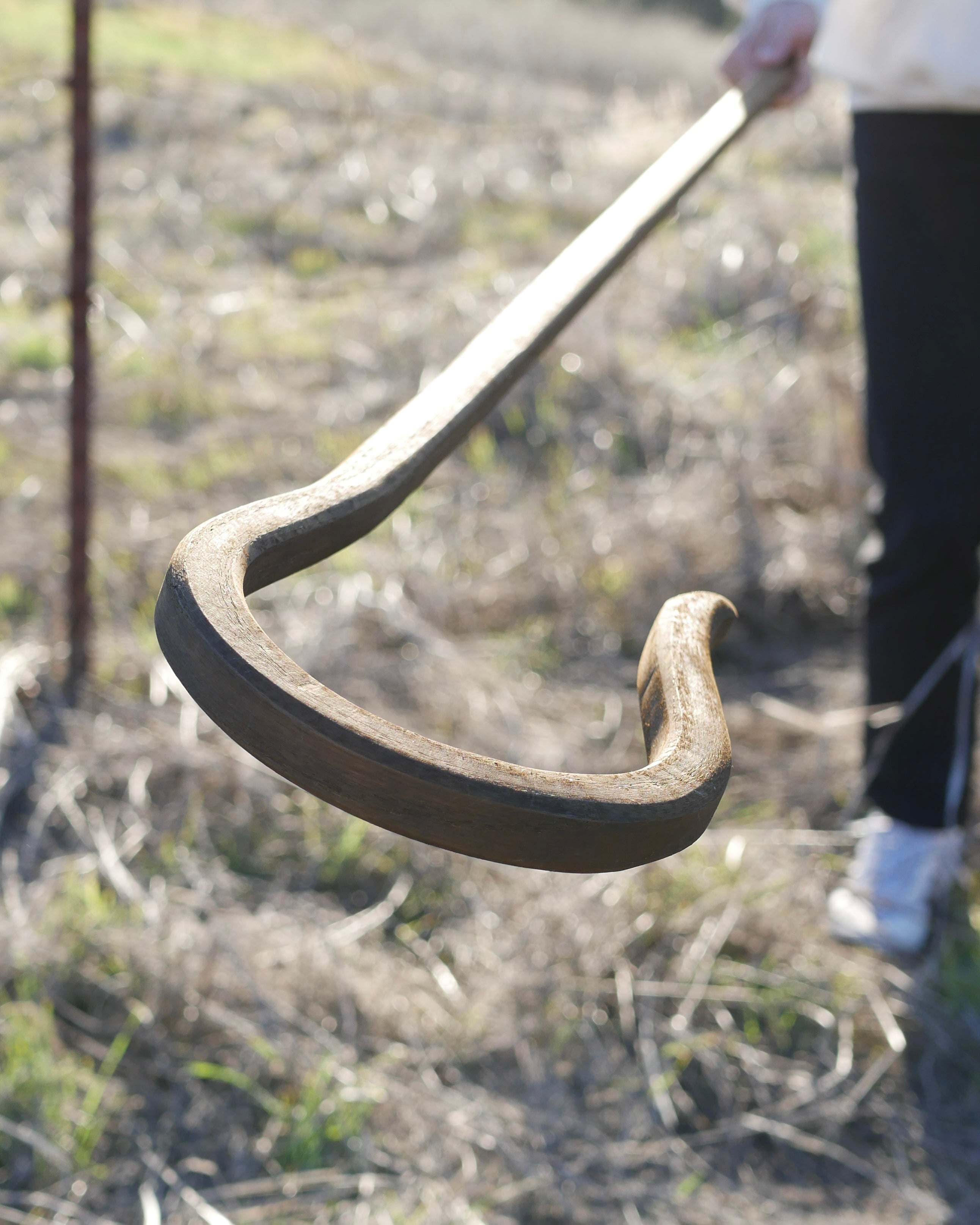 Psalm 23 Shepherd's Staff - TG One-Off