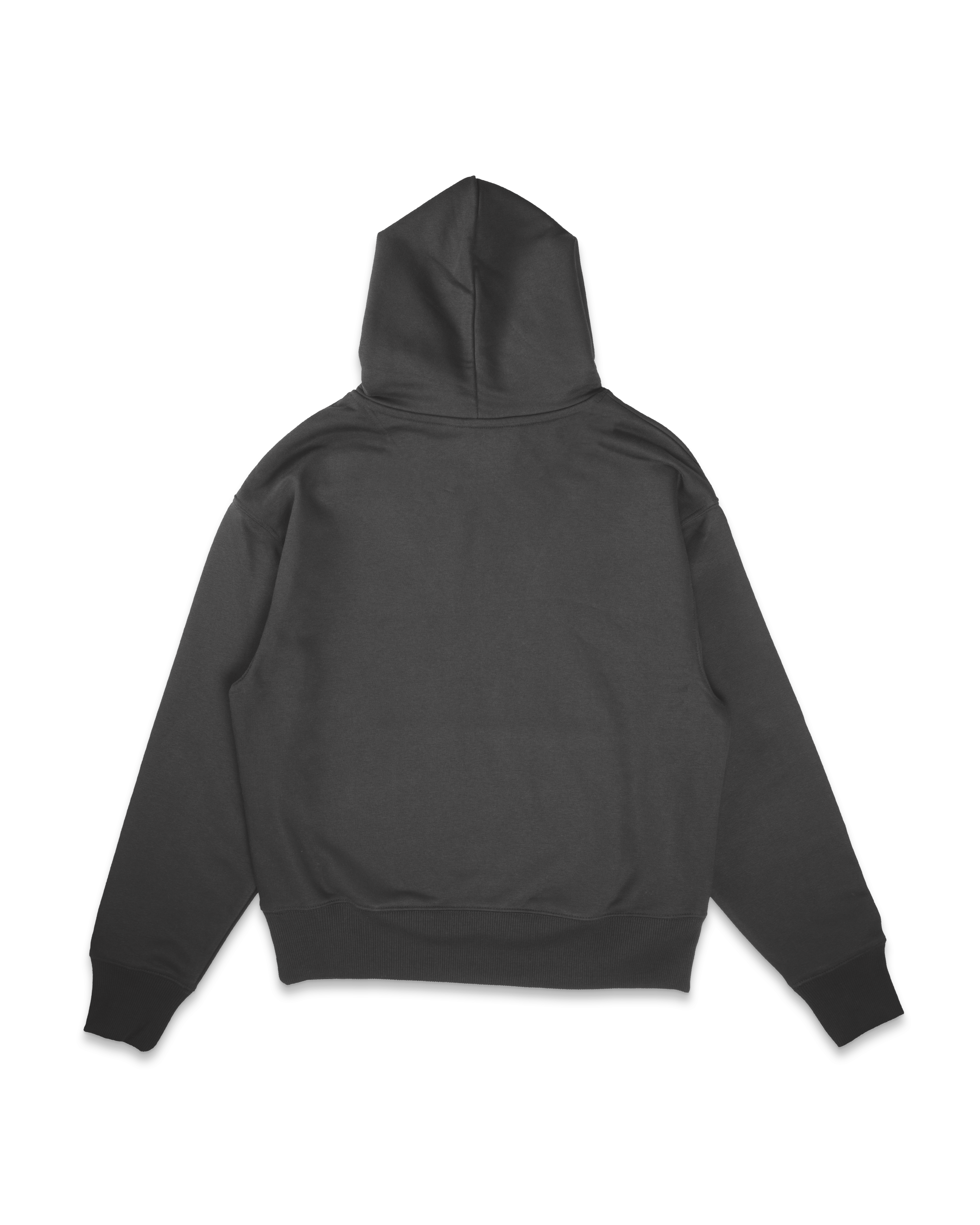 Crest Embroidered Hoodie