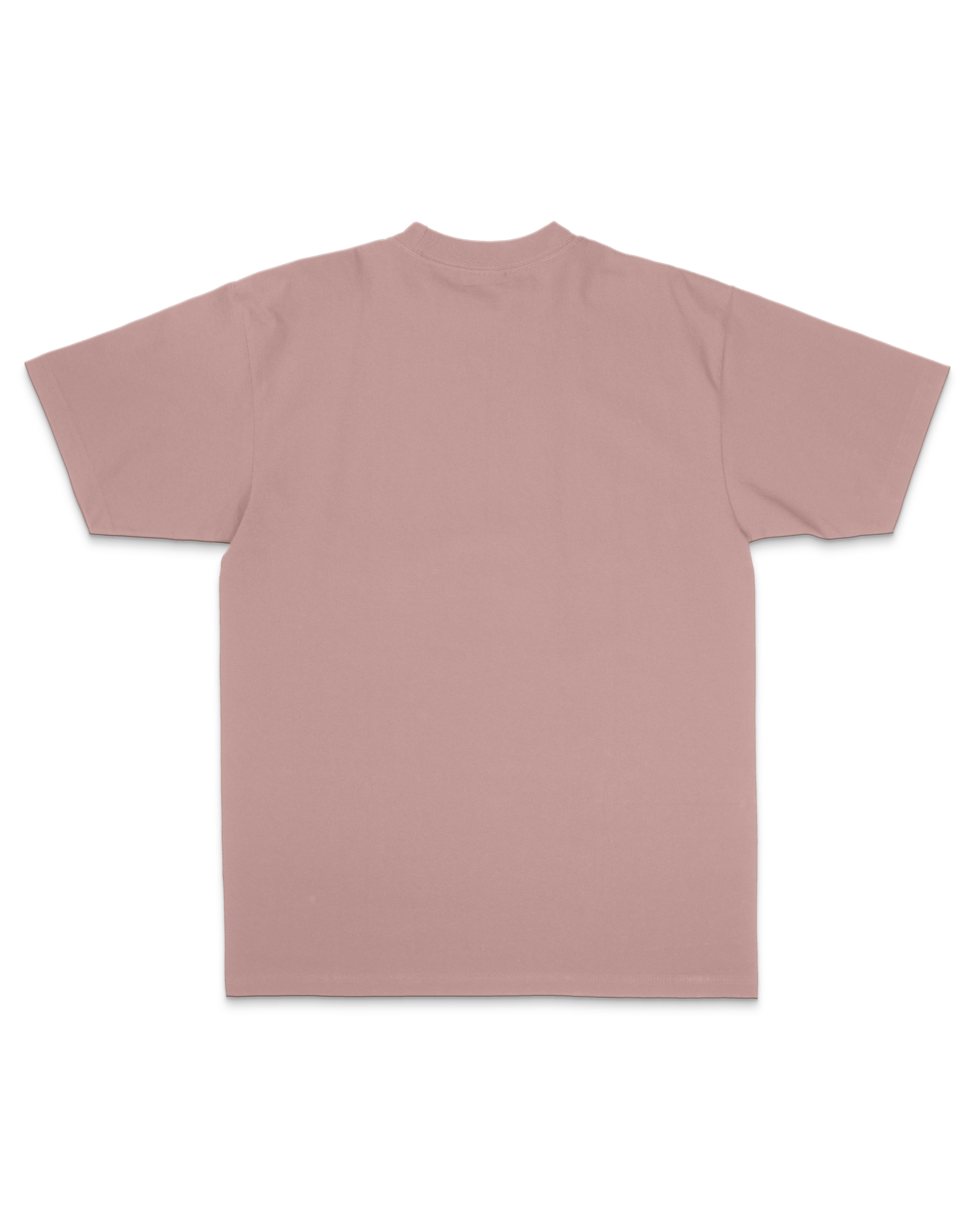 Crest Embroidered Oversized Sanded Tee