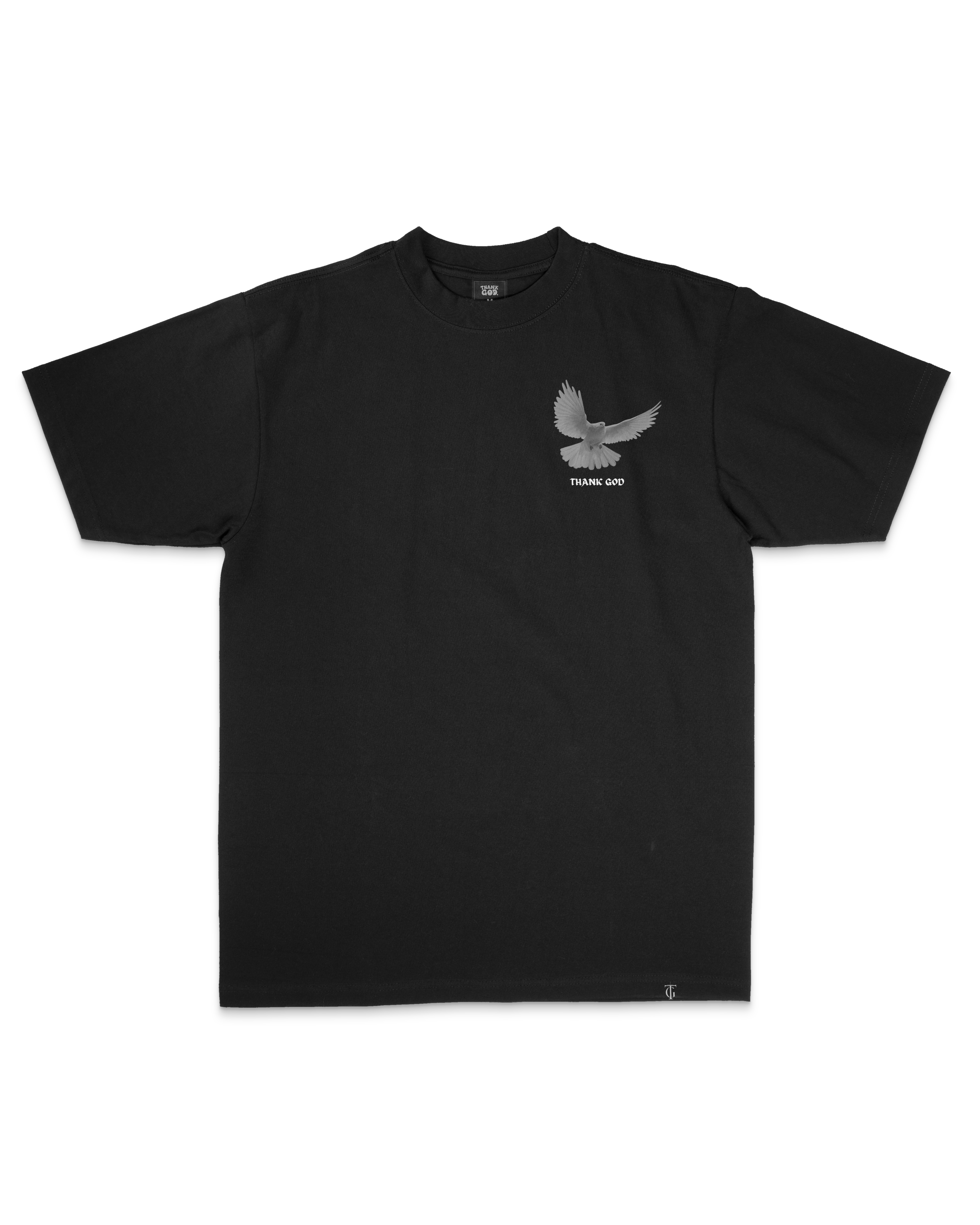 Divinity II Oversized Sanded Tee