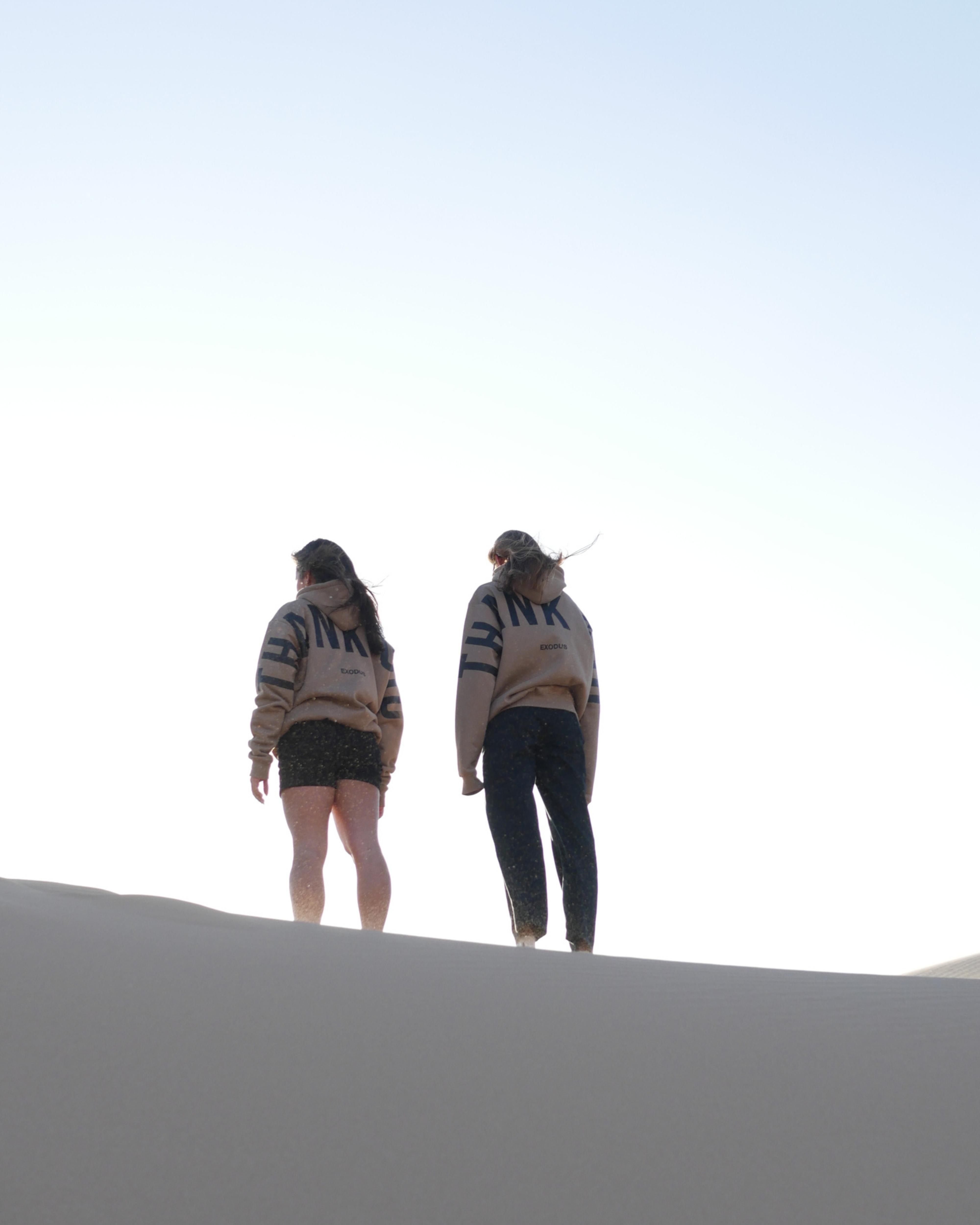 Exodus Banner Hoodie