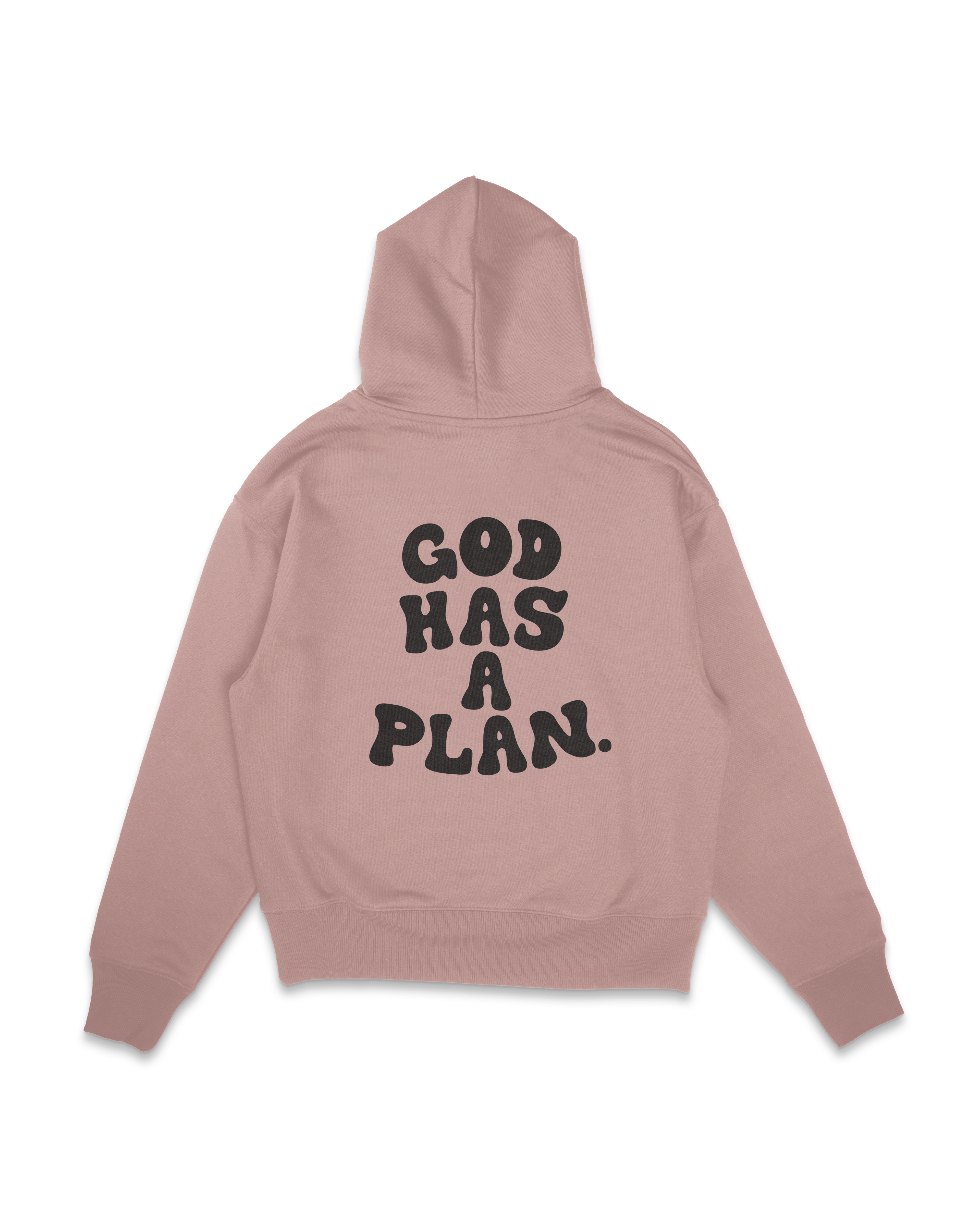 God Has A Plan Hoodie