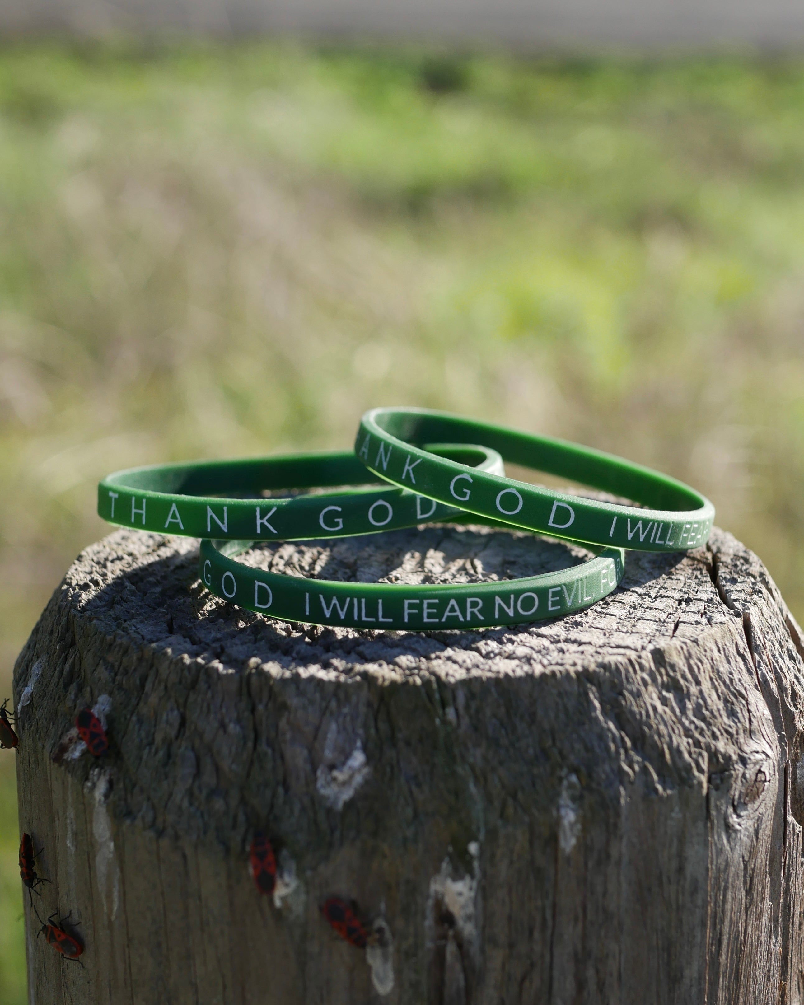 Psalm 23 Wristband Pack (3 Pack)