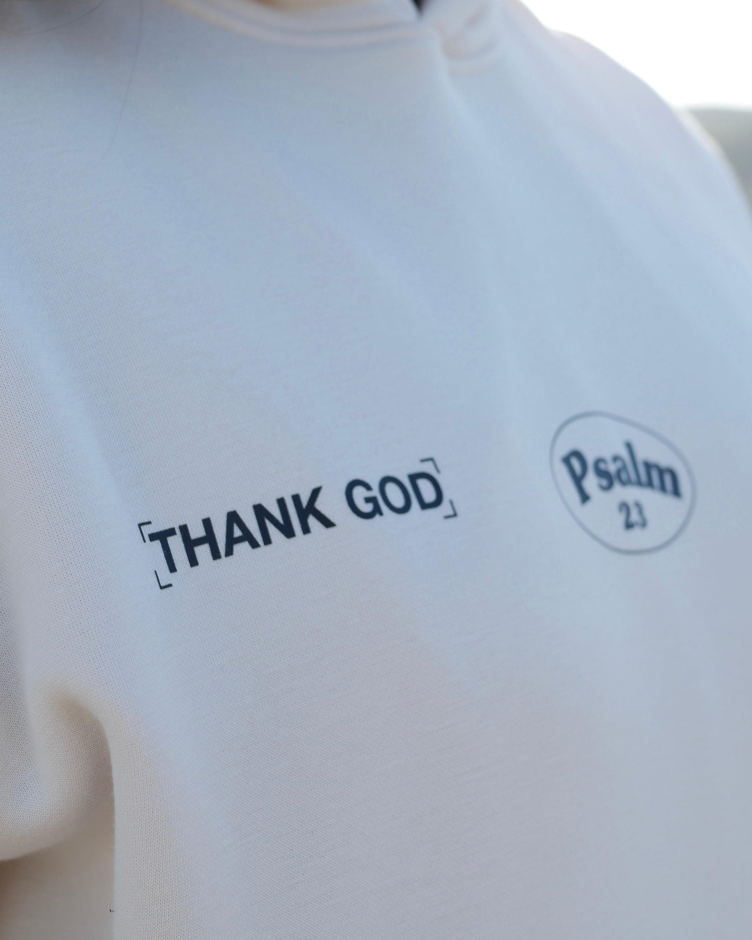 Psalm 23 Restore Hoodie