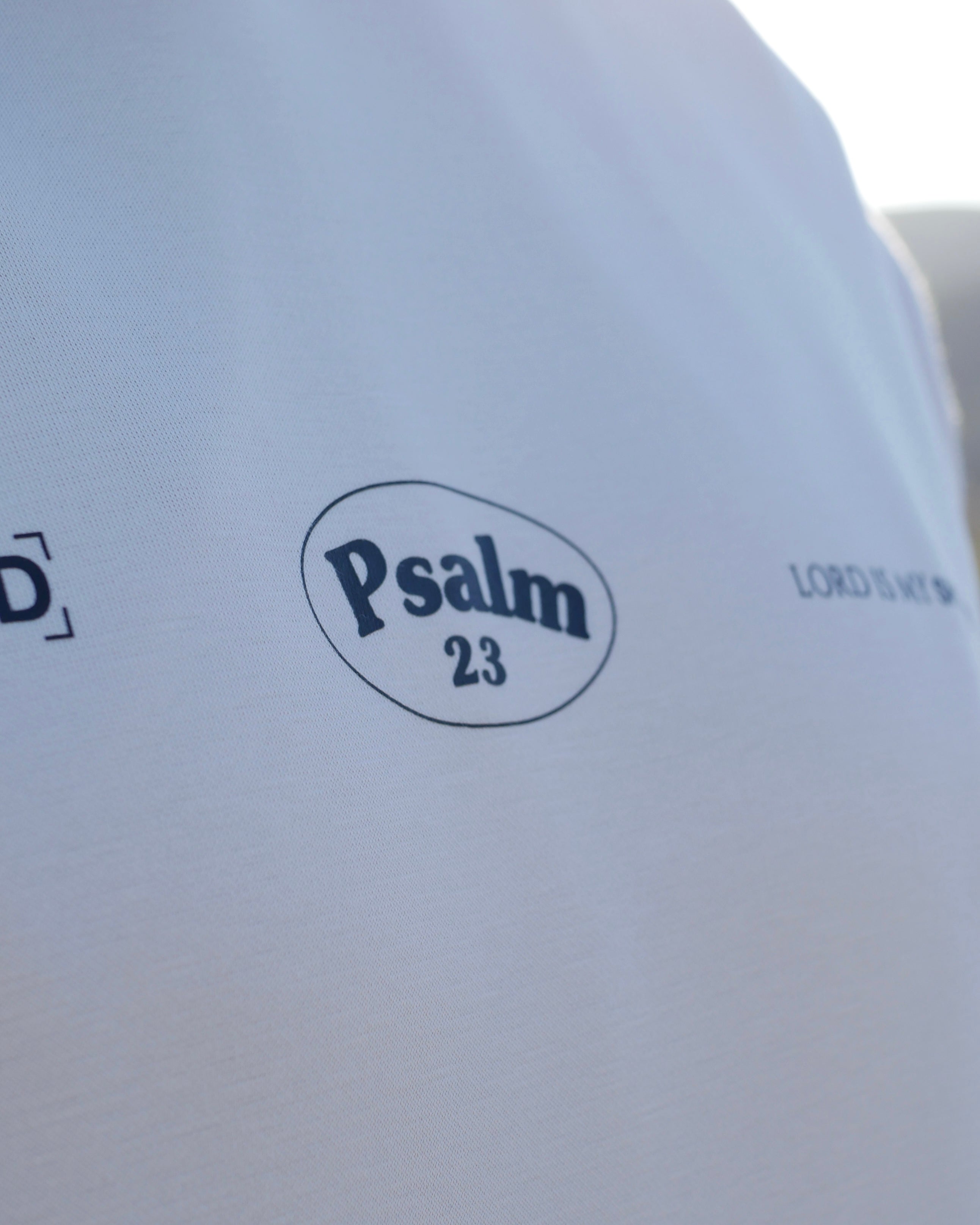 Psalm 23 Restore Hoodie