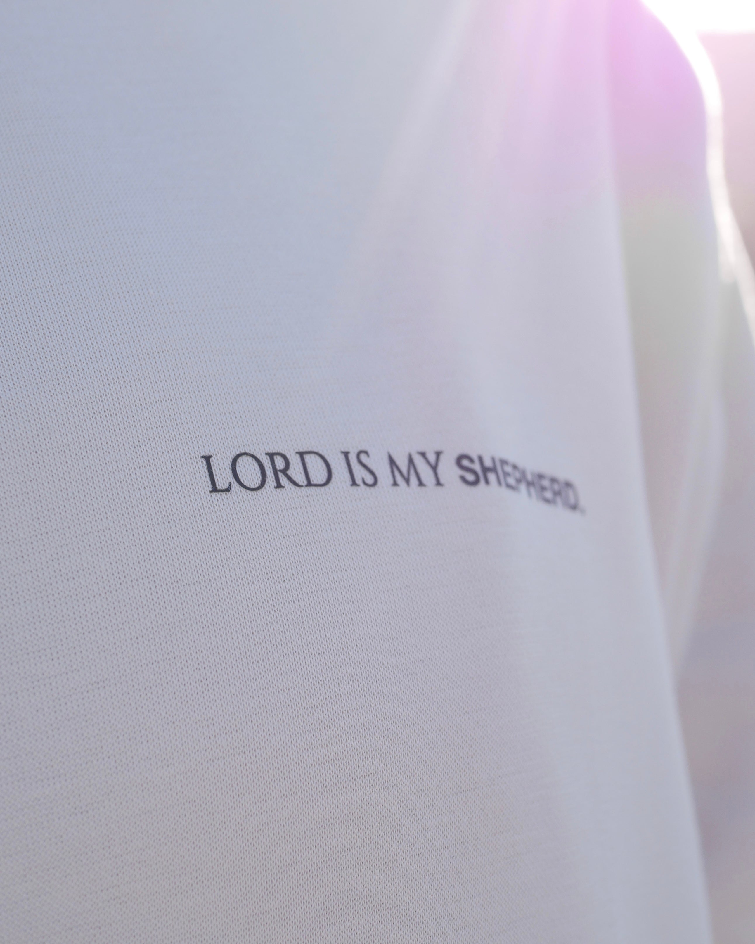 Psalm 23 Restore Hoodie