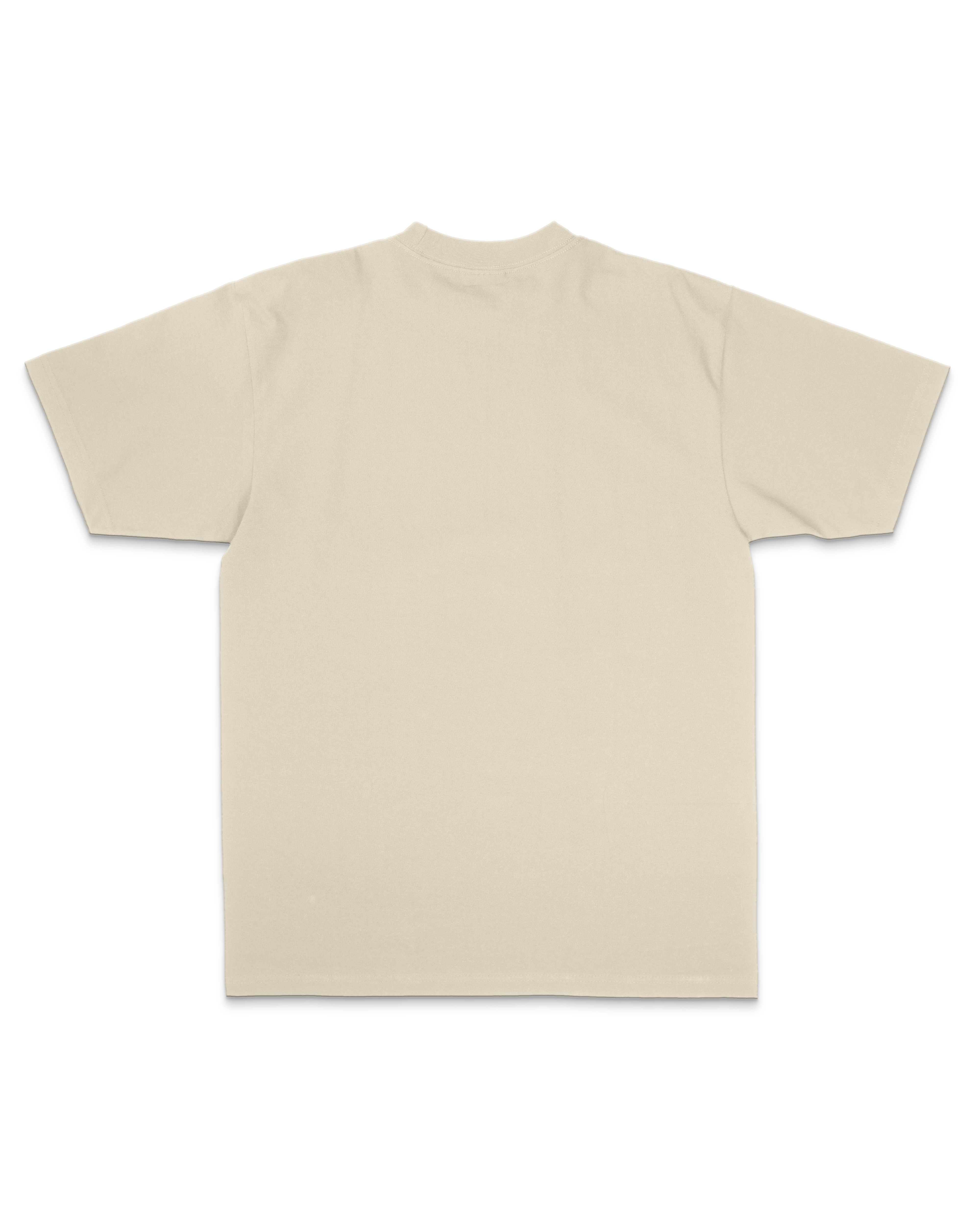 Origin Oversized Sanded Tee