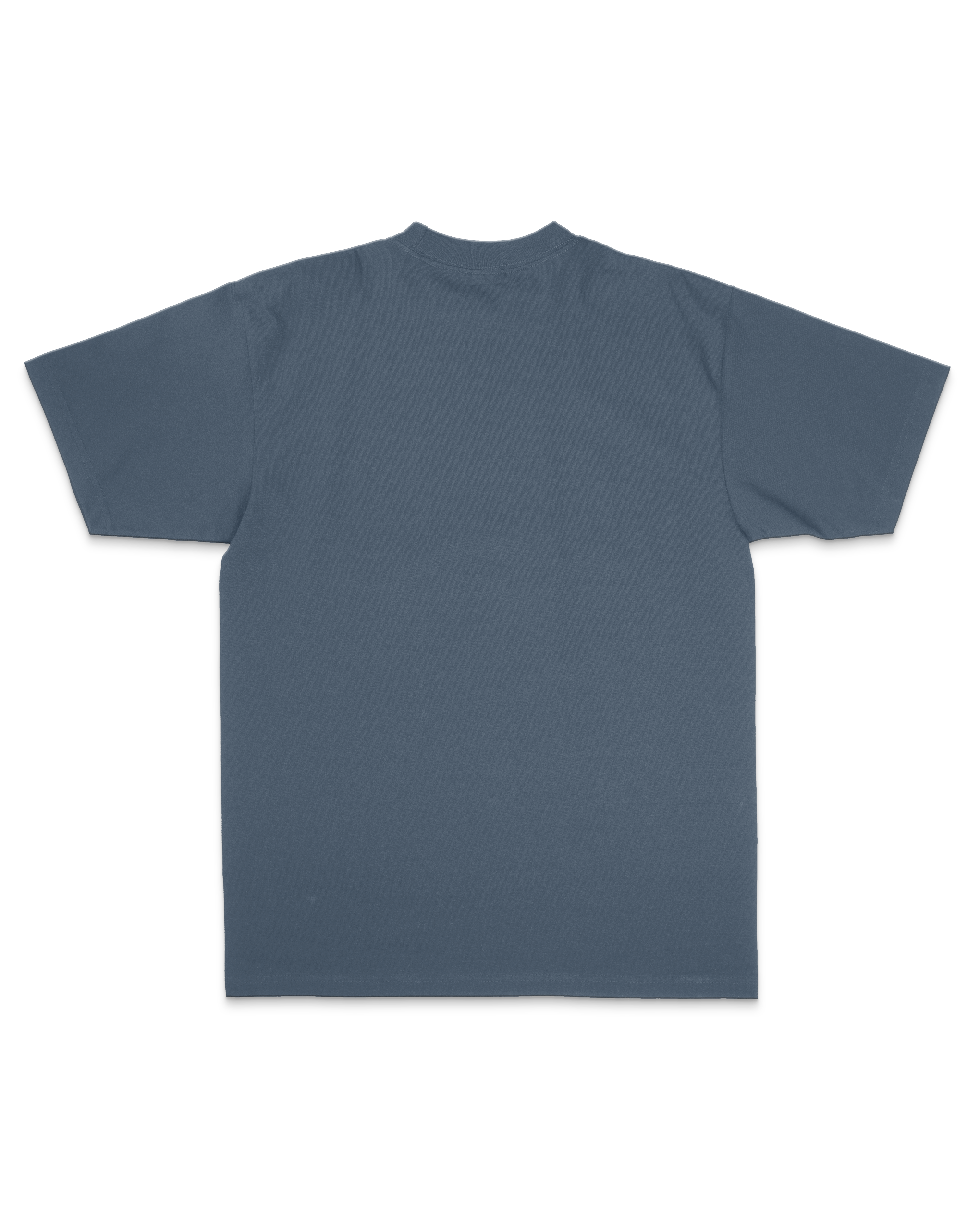 Crest Embroidered Oversized Sanded Tee
