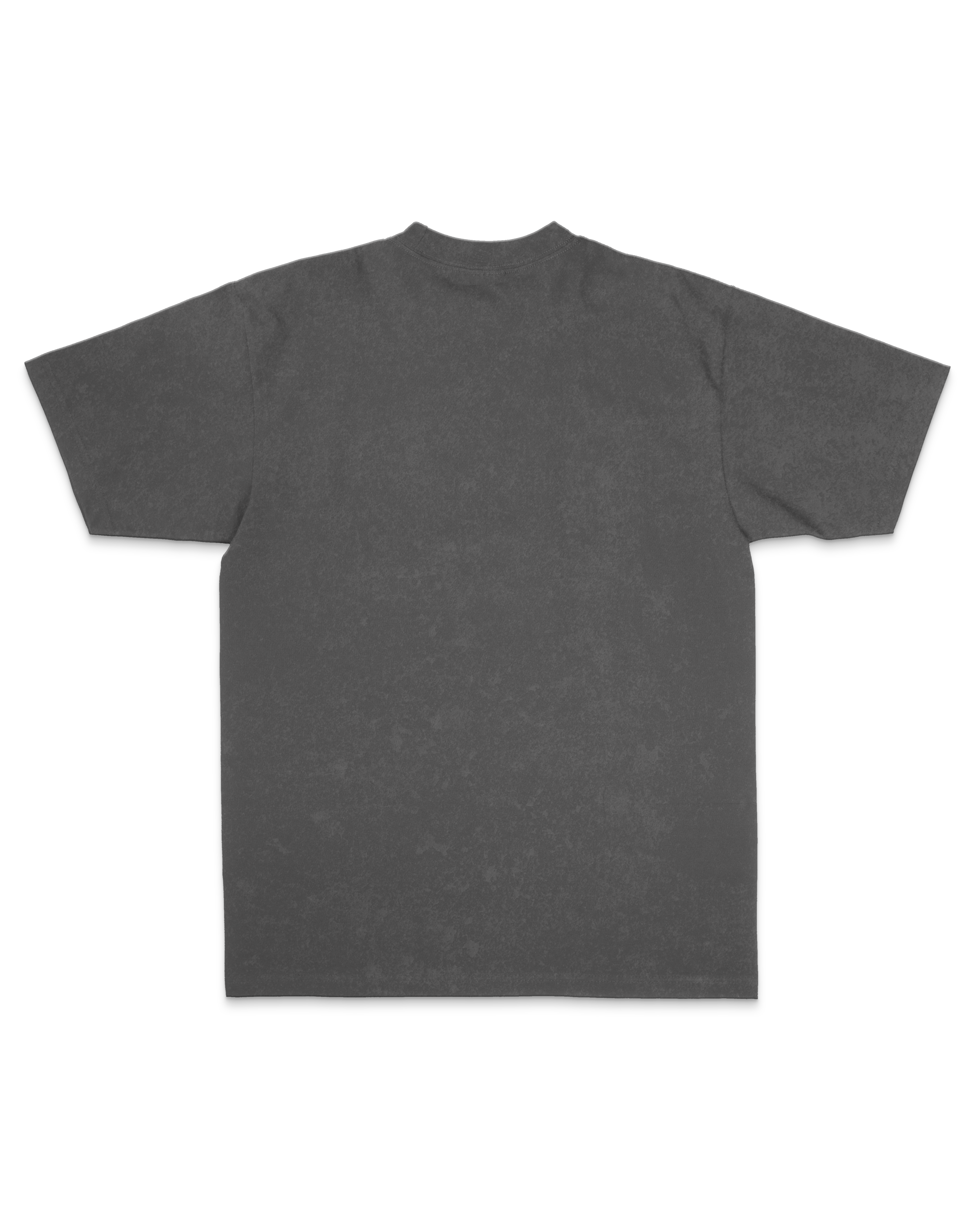 Crest Embroidered Oversized Vintage Tee